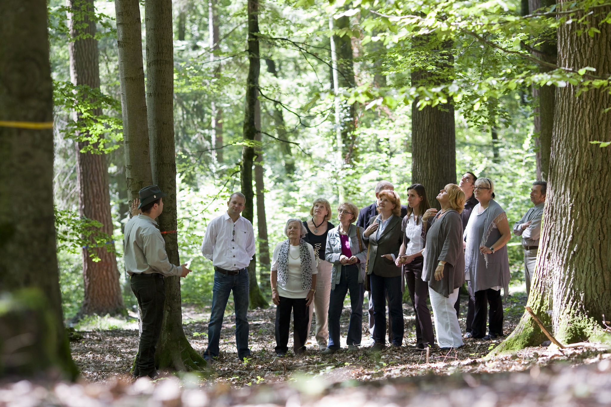 Presse_Foto_Waldfuehrung_6718